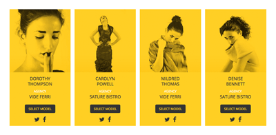 clean_6_model_agency_1